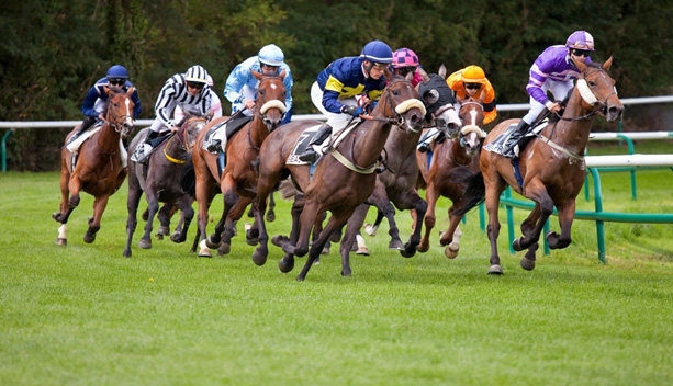 Corrida de galope na França